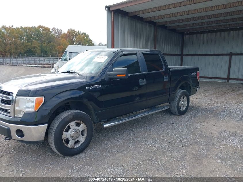 2013 Ford F-150 Xlt VIN: 1FTFW1EF7DFC48504 Lot: 40724019