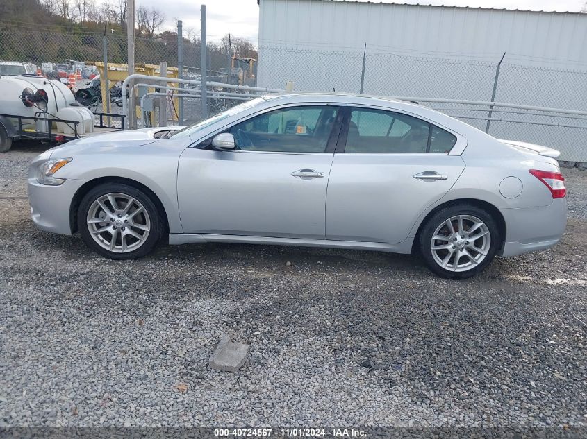 2010 Nissan Maxima 3.5 Sv VIN: 1N4AA5APXAC831411 Lot: 40724567