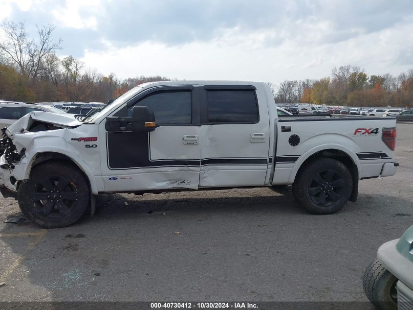 2013 FORD F-150 FX4 - 1FTFW1EF1DFA25438