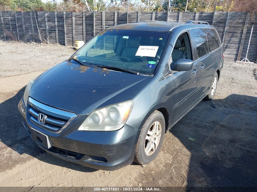 2005 Honda Odyssey Ex-L VIN: 5FNRL386X5B045562 Lot: 40731501