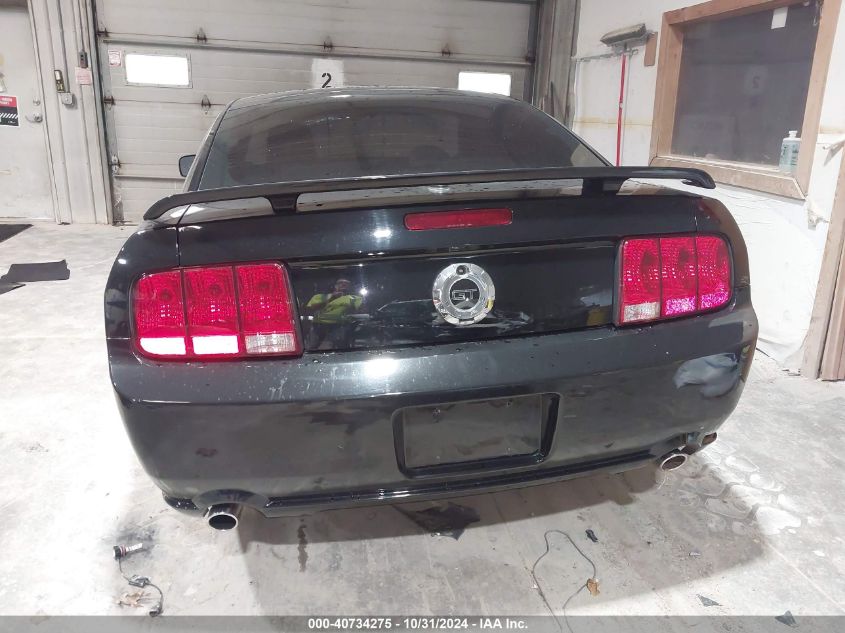 2009 Ford Mustang Gt Premium VIN: 1ZVHT82H395131898 Lot: 40734275