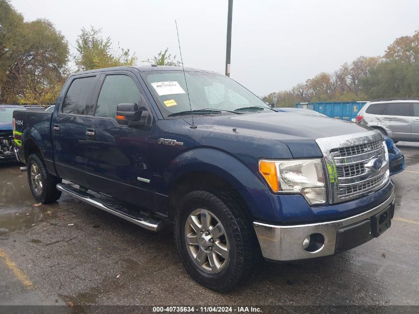 2013 Ford F-150 Xlt VIN: 1FTFW1ET6DKD07460 Lot: 40735634