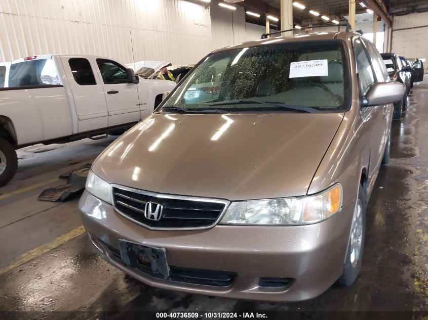 2003 Honda Odyssey Ex-L VIN: 5FNRL18093B028183 Lot: 40736509