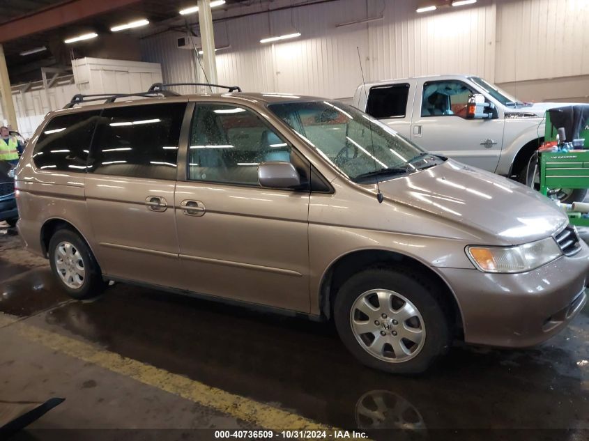 2003 Honda Odyssey Ex-L VIN: 5FNRL18093B028183 Lot: 40736509