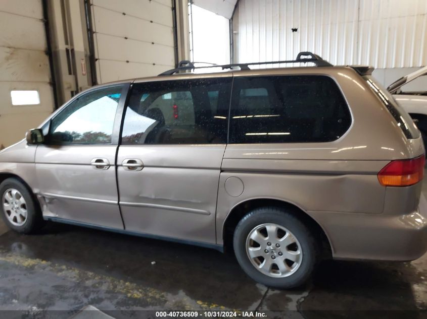 2003 Honda Odyssey Ex-L VIN: 5FNRL18093B028183 Lot: 40736509