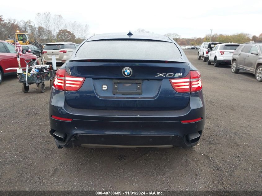 2013 BMW X6 xDrive50I VIN: 5UXFG8C59DL591198 Lot: 40738689