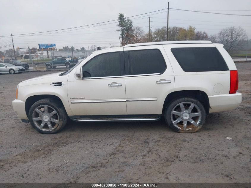 2010 Cadillac Escalade VIN: 1GYUKAEF0AR254734 Lot: 40739858