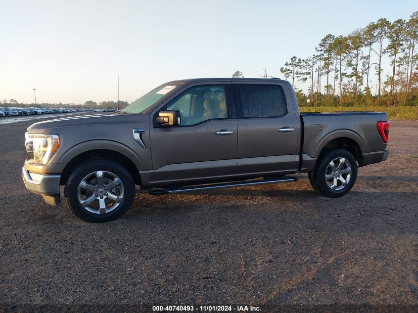 2021 Ford F-150 Xlt VIN: 1FTEW1C50MKE34365 Lot: 40740493