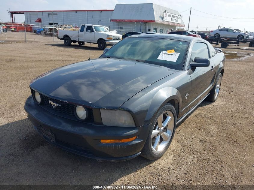 2009 Ford Mustang Gt/Gt Premium VIN: 1ZVHT82H395120979 Lot: 40740932