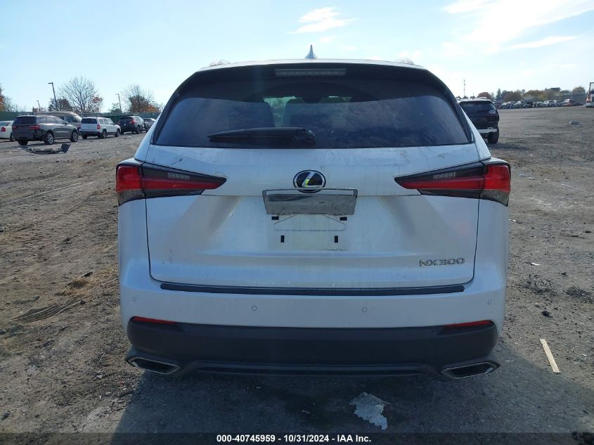 2020 Lexus Nx 300 VIN: JTJDARDZ9L5003690 Lot: 40745959