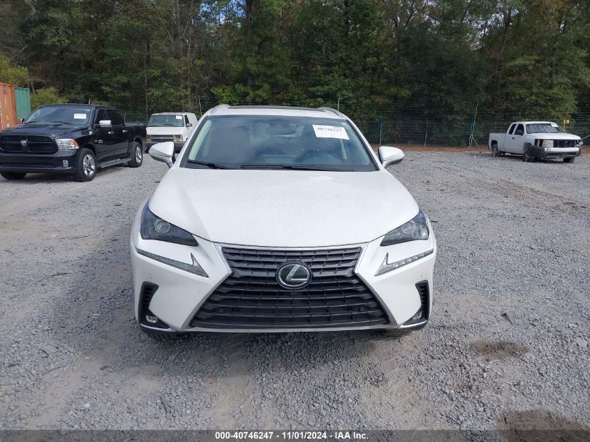 2020 Lexus Nx 300 VIN: JTJDARBZ9L2160110 Lot: 40746247