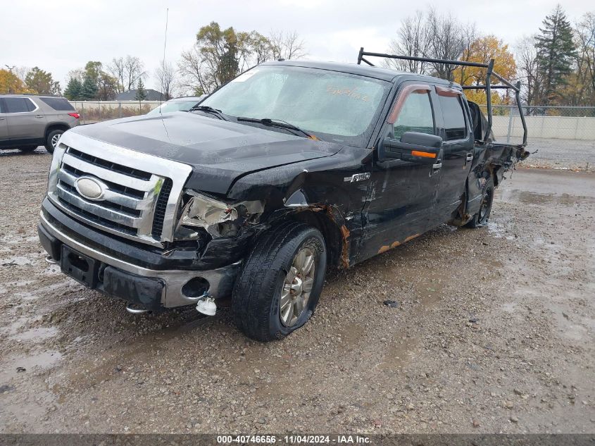 2009 Ford F150 Xlt VIN: 1FTPW14V09FA71153 Lot: 40746656