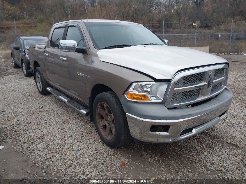 2010 Dodge Ram 1500 VIN: 1D7RB1CT7AS245189 Lot: 40753186