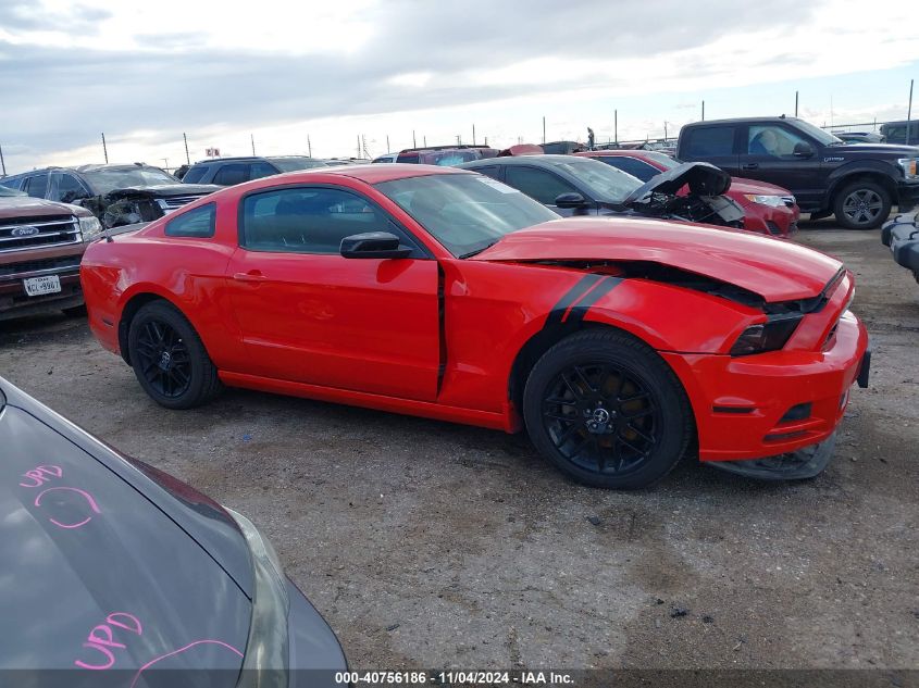 VIN 1ZVBP8AM0E5250124 2014 FORD MUSTANG no.13