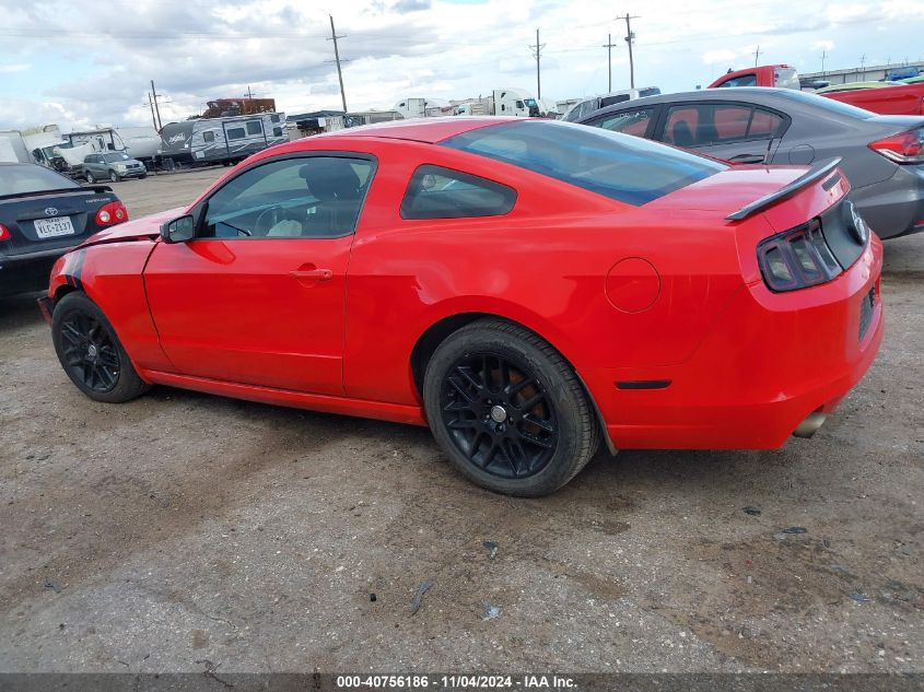 VIN 1ZVBP8AM0E5250124 2014 FORD MUSTANG no.14