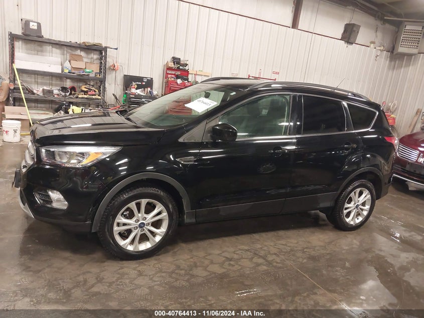 Thumbnail 14