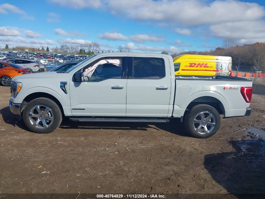 2023 Ford F-150 Xlt VIN: 1FTFW1ED6PFD28363 Lot: 40764829