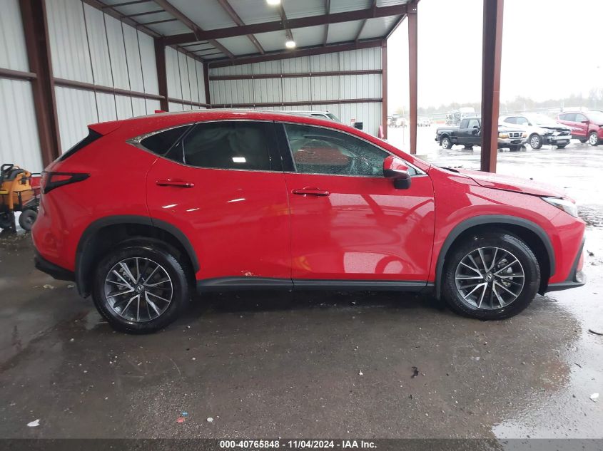 2024 LEXUS NX 350 - 2T2AGCEZXRC048905