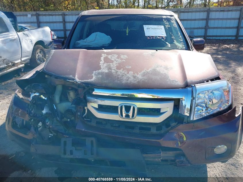 2010 Honda Pilot Ex-L VIN: 5FNYF4H51AB034699 Lot: 40768559