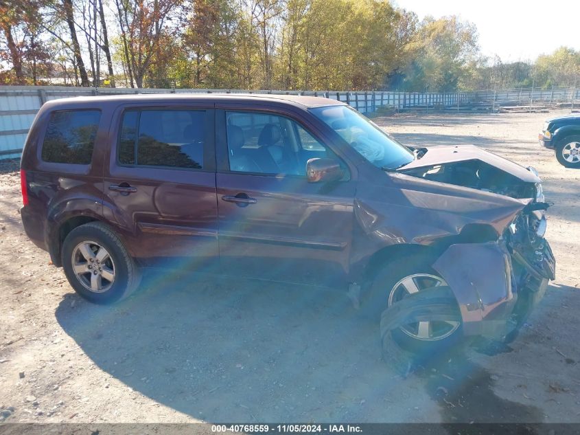 2010 Honda Pilot Ex-L VIN: 5FNYF4H51AB034699 Lot: 40768559