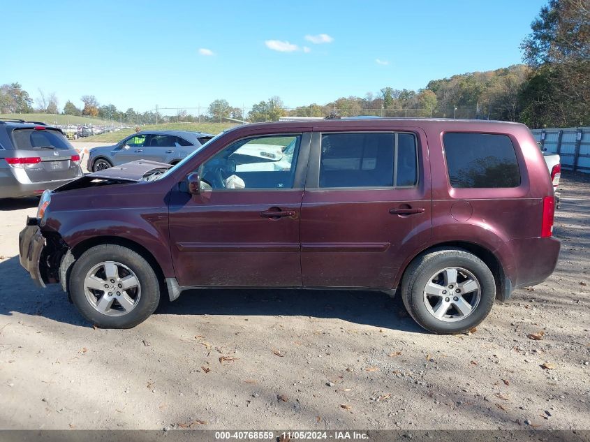 2010 Honda Pilot Ex-L VIN: 5FNYF4H51AB034699 Lot: 40768559