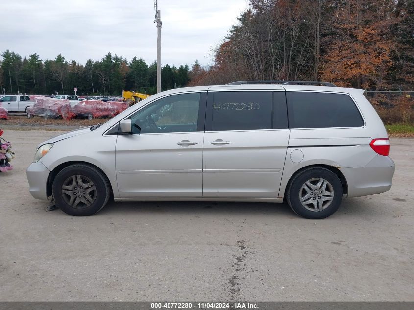 2007 Honda Odyssey Ex-L VIN: 5FNRL387X7B044343 Lot: 40772280