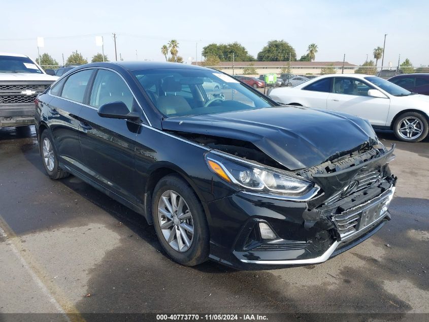 2019 Hyundai Sonata VIN: 5NPE24AF0K8737070 Lot: 40773770