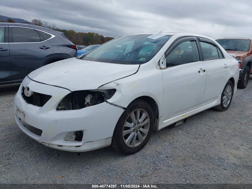 2010 Toyota Corolla S VIN: 2T1BU4EEXAC443840 Lot: 40774397