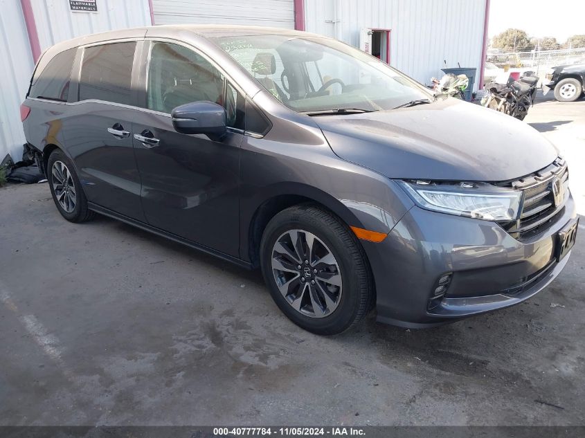 2022 Honda Odyssey Ex-L VIN: 5FNRL6H78NB064380 Lot: 40777784