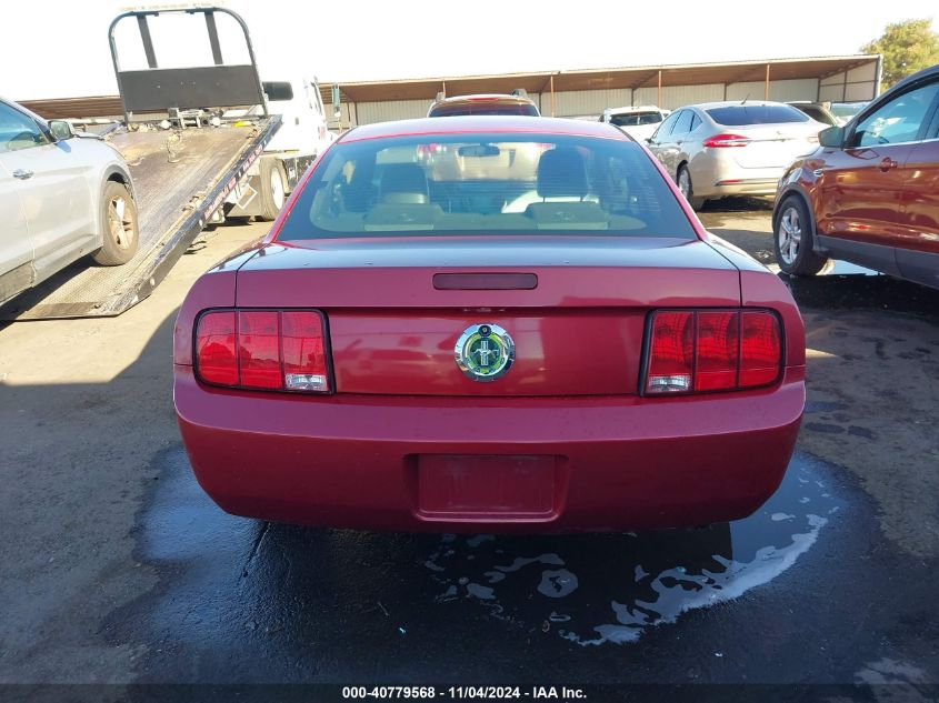 2006 Ford Mustang V6 VIN: 1ZVHT80N565110555 Lot: 40779568