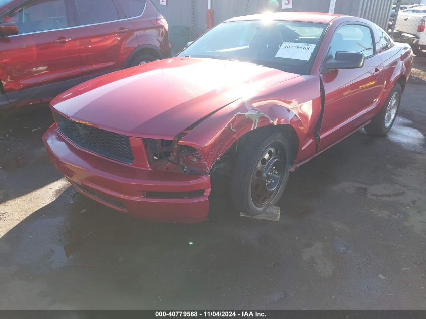 2006 Ford Mustang V6 VIN: 1ZVHT80N565110555 Lot: 40779568