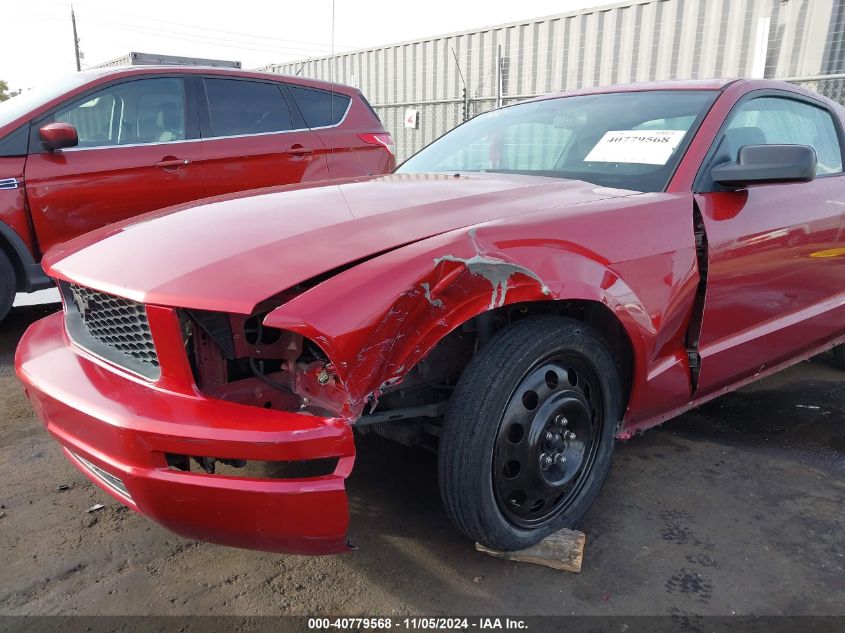 2006 Ford Mustang V6 VIN: 1ZVHT80N565110555 Lot: 40779568