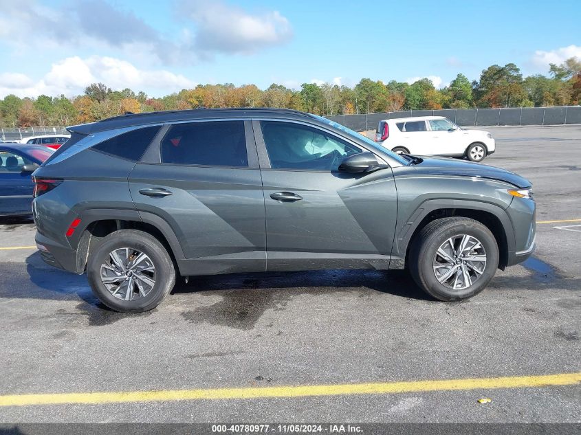 2024 Hyundai Tucson Hybrid Blue VIN: KM8JBCD17RU202502 Lot: 40780977