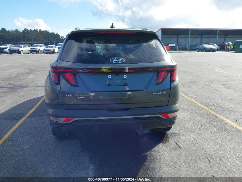 2024 Hyundai Tucson Hybrid Blue VIN: KM8JBCD17RU202502 Lot: 40780977