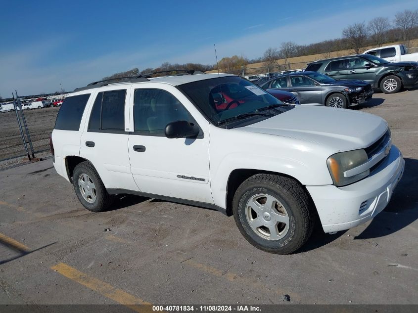 2002 Chevrolet Trailblazer Ls VIN: 1GNDT13SX22253529 Lot: 40781834