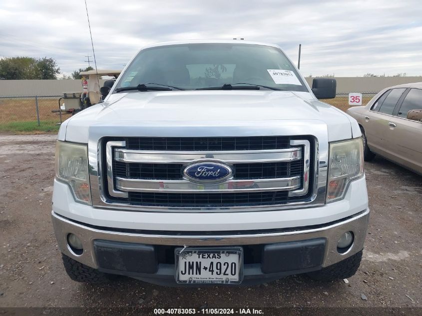 2014 FORD F-150 XLT - 1FTEW1CM1EFB50504