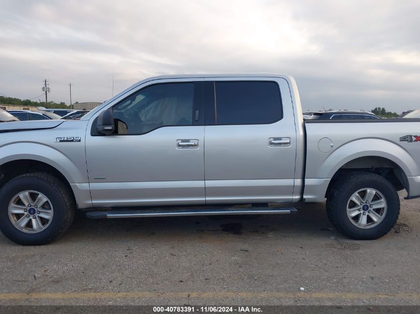 2016 Ford F-150 Xlt VIN: 1FTEW1EP7GFA36484 Lot: 40783391