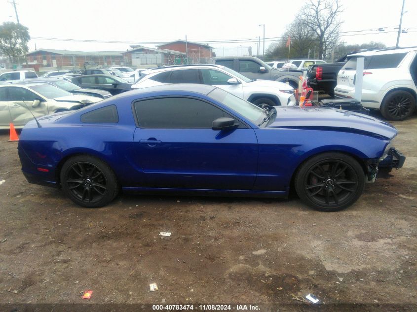 2013 Ford Mustang V6 VIN: 1ZVBP8AM9D5265736 Lot: 40783474