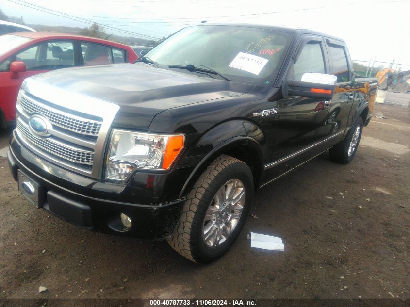 2009 Ford F-150 King Ranch/Lariat/Platinum/Xl/Xlt VIN: 1FTPW12V99FB24452 Lot: 40787733