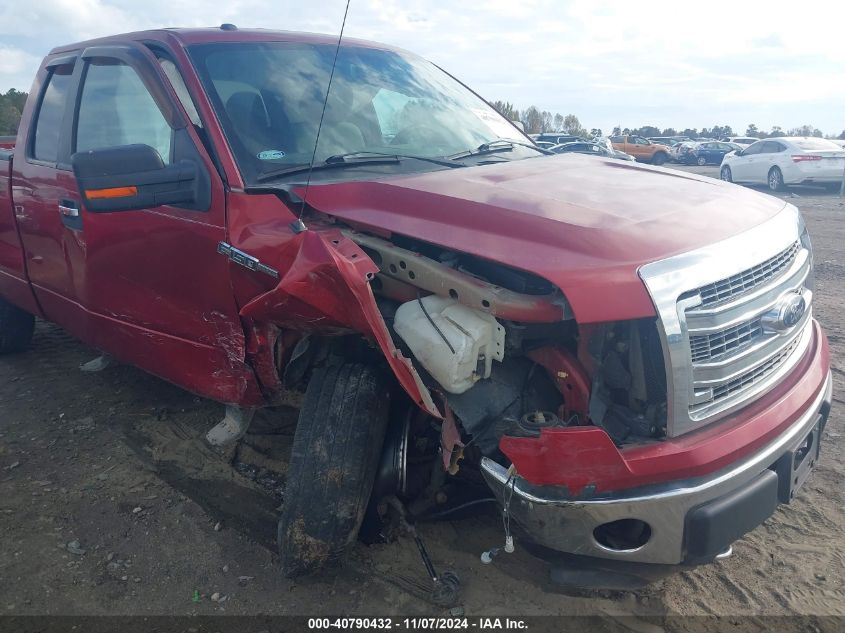 2013 FORD F-150 VIN: 1FTFX1EF4DKD19677