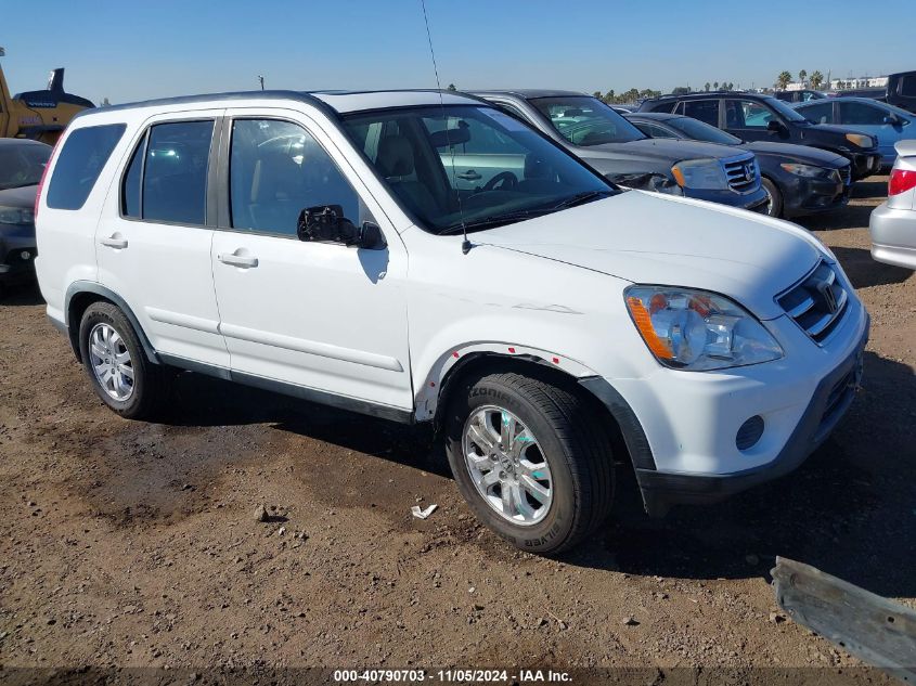 2005 Honda Cr-V Se VIN: JHLRD789X5C036262 Lot: 40790703