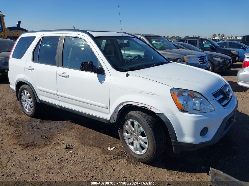 2005 Honda Cr-V Se VIN: JHLRD789X5C036262 Lot: 40790703