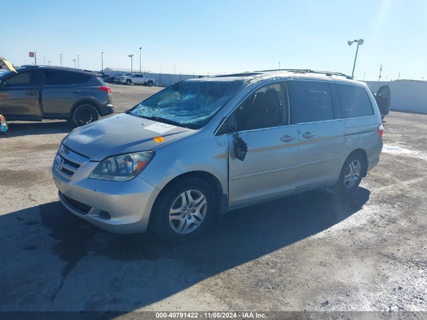 2005 Honda Odyssey Ex-L VIN: 5FNRL38745B126095 Lot: 40791422