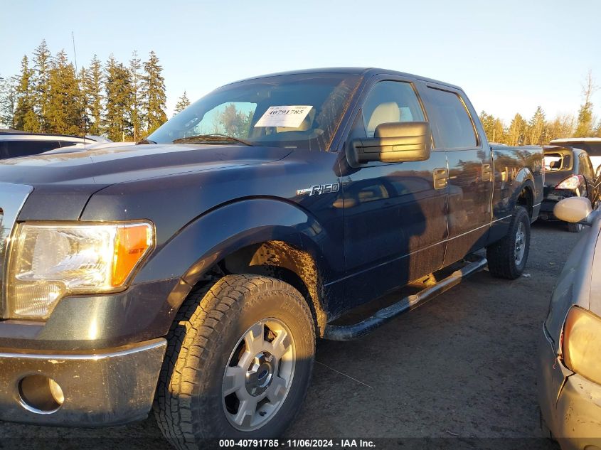 2014 Ford F-150 Xlt VIN: 1FTFW1EF2EFC18781 Lot: 40791785