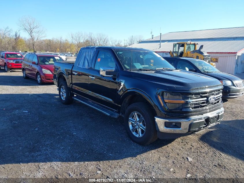 2024 FORD F-150 XLT - 1FTEW3LP0RKD75290