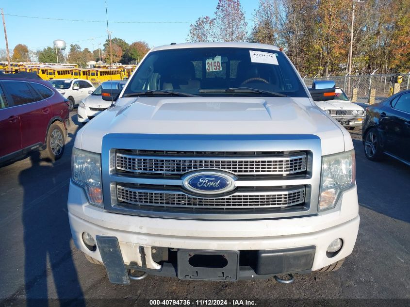 2010 Ford F-150 Fx4/Harley-Davidson/King Ranch/Lariat/Platinum/Xl/Xlt VIN: 1FTFW1EV0AFB54984 Lot: 40794736