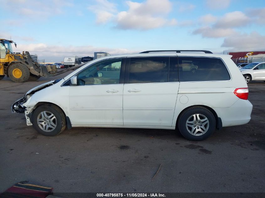 2005 Honda Odyssey Ex-L VIN: 5FNRL38695B411561 Lot: 40795875