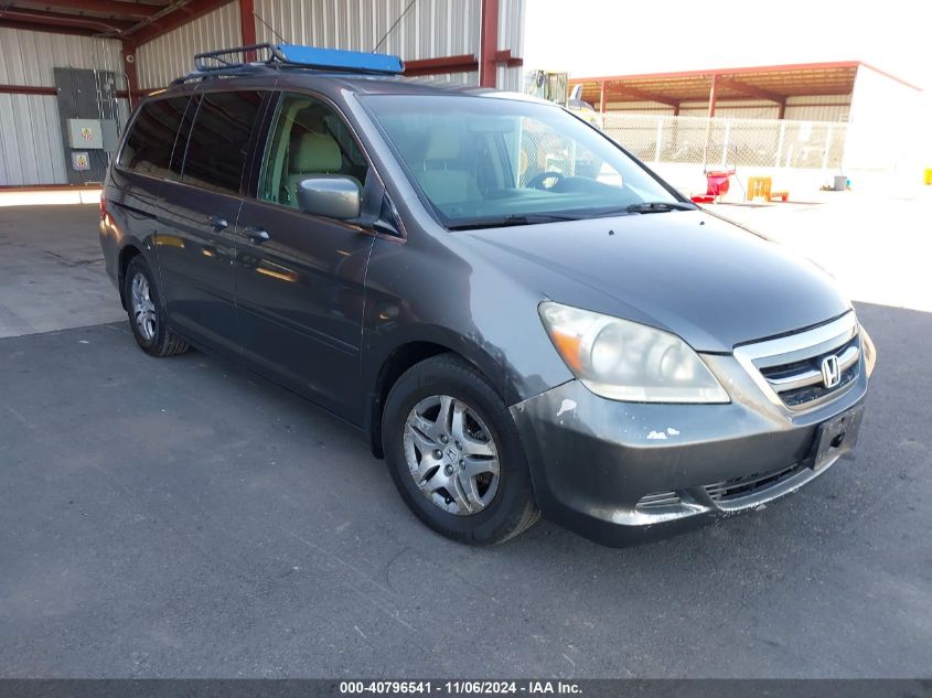 2007 Honda Odyssey Ex VIN: 5FNRL38457B404446 Lot: 40796541