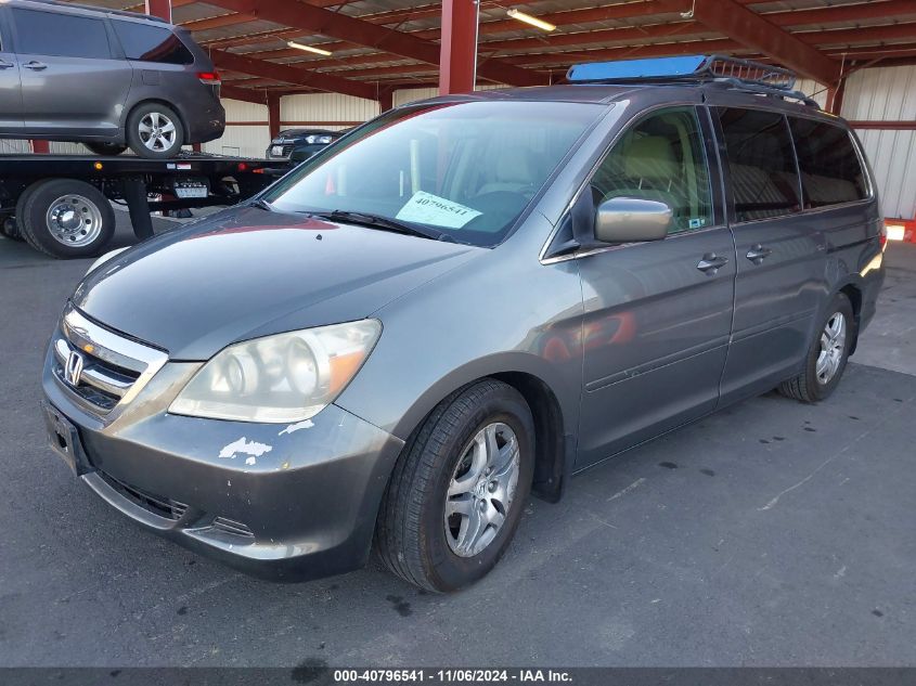 2007 Honda Odyssey Ex VIN: 5FNRL38457B404446 Lot: 40796541