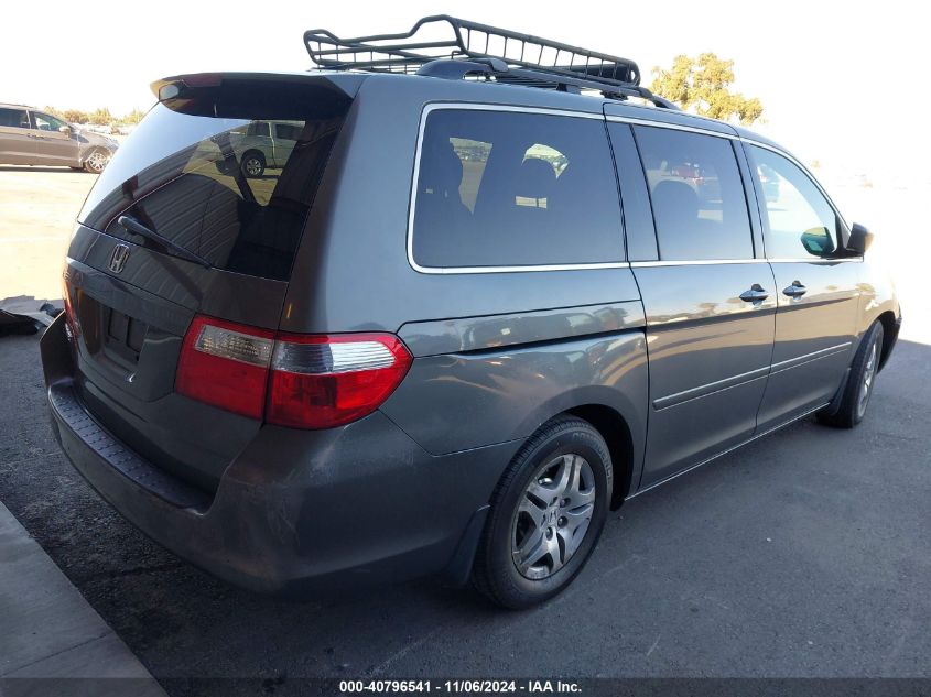 2007 Honda Odyssey Ex VIN: 5FNRL38457B404446 Lot: 40796541